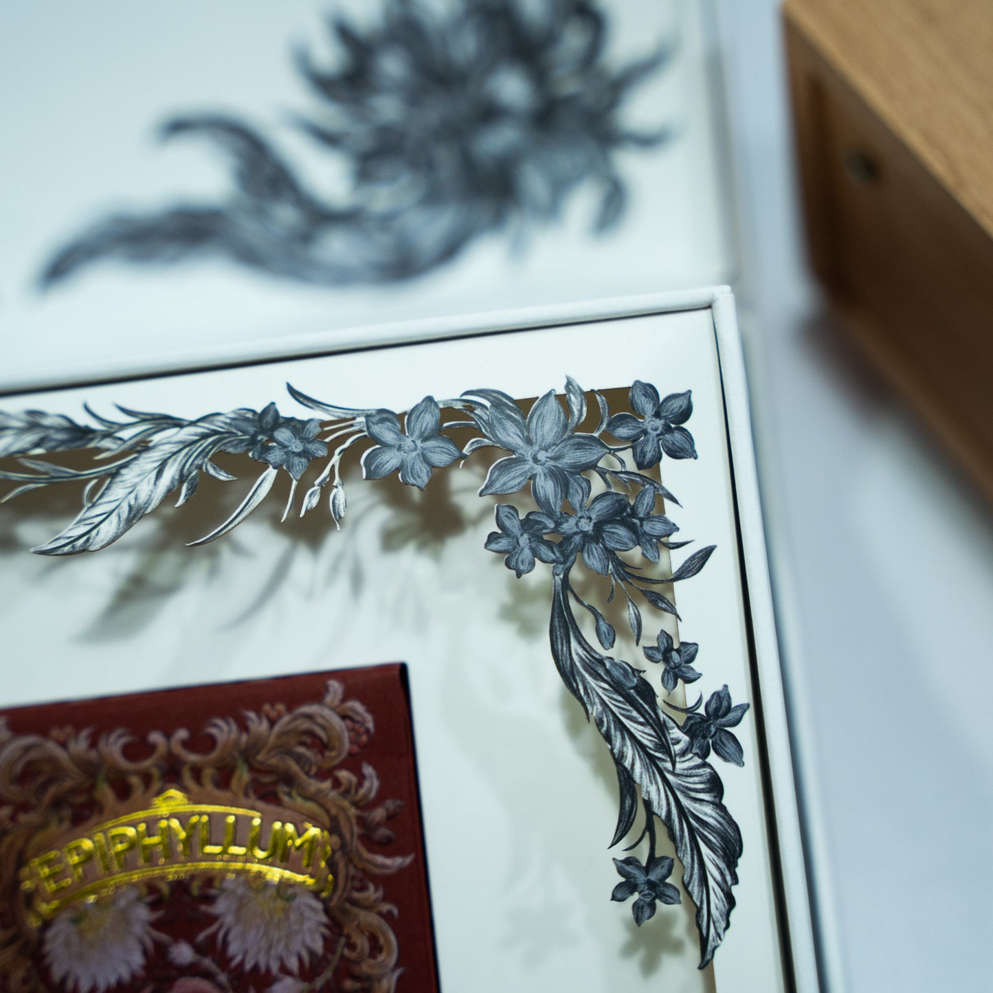 Epiphyllum V2 PLAYING CARDS
